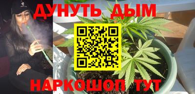 гидра Ивантеевка
