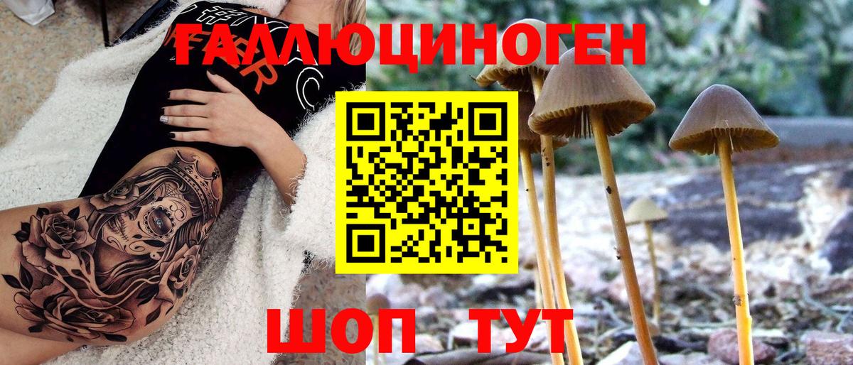 Псилоцибиновые грибы GOLDEN TEACHER Новосибирск