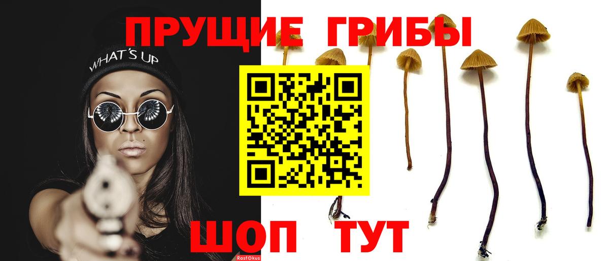 Новосибирск  Галлюциногенные грибы Psilocybine cubensis  Псилоцибиновые грибы прущие грибы  Вход с VPN 